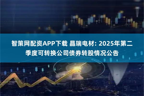 智策网配资APP下载 晶瑞电材: 2025年第二季度可转换公司债券转股情况公告