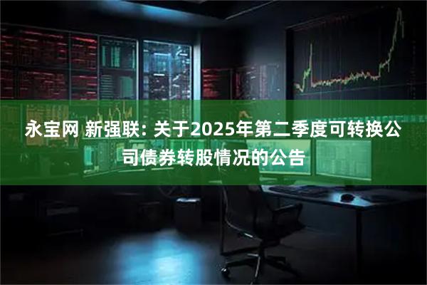 永宝网 新强联: 关于2025年第二季度可转换公司债券转股情况的公告