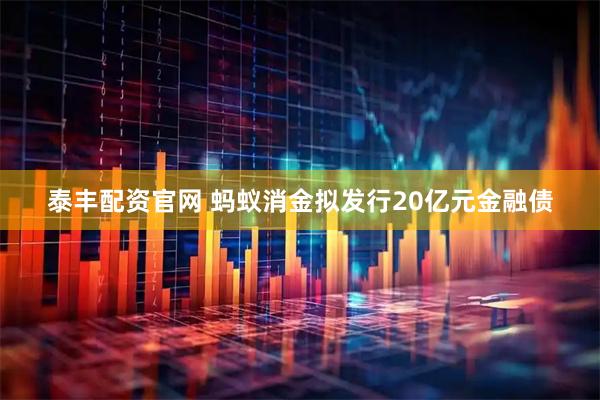 泰丰配资官网 蚂蚁消金拟发行20亿元金融债