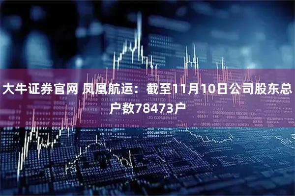大牛证券官网 凤凰航运：截至11月10日公司股东总户数78473户