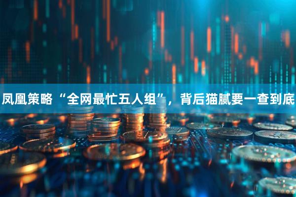 凤凰策略 “全网最忙五人组”，背后猫腻要一查到底