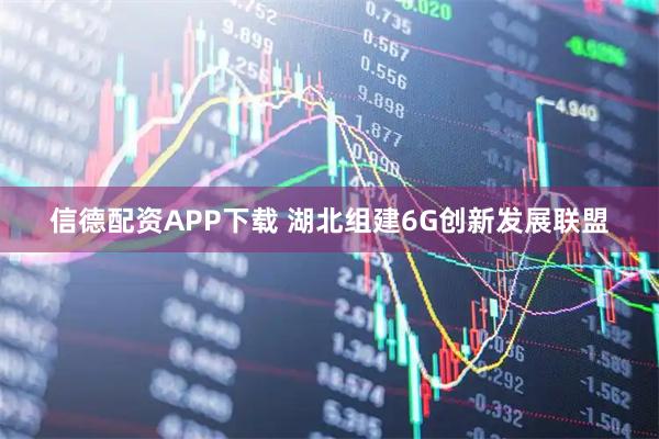信德配资APP下载 湖北组建6G创新发展联盟